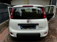 Usata Fiat Panda S 69 CV (50 kW) 2024 Utilitaria