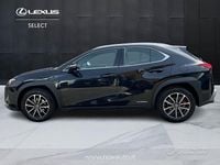 Usata Lexus UX Executive Line 183 CV (134 kW) 2022 Nero SUV