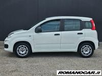 Usata Fiat Panda Easy 69 CV (50 kW) 2020 Bianco Utilitaria