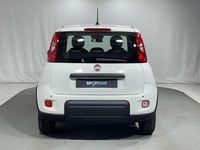 Usata Fiat Panda S 69 CV (50 kW) 2024 Bianco Utilitaria