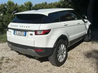 Usata Land Rover Range Rover evoque SE 150 CV (110 kW) 2018 Bianco SUV