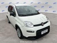 Usata Fiat Panda S 70 CV (51 kW) 2023 Bianco Utilitaria