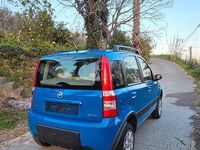 Usata Fiat Panda 4x4 Climbing 75 CV (55 kW) 2006 Blu Utilitaria