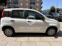 Usata Fiat Panda Easy 69 CV (50 kW) 2020 Bianco Utilitaria
