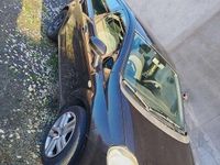 Usata Fiat Punto Evo Active 77 CV (56 kW) 2010 Utilitaria