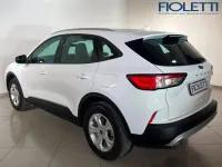 Usata Ford Kuga Business Edition 225 CV (165 kW) 2021 Bianco SUV