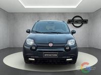 Usata Fiat Panda Cross Cross 70 CV (51 kW) 2025 Utilitaria