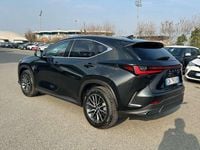 Usata Lexus NX300 243 CV (178 kW) 2023 Other SUV