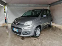 Usata Fiat Panda Lounge 69 CV (50 kW) 2020 Grigio Utilitaria