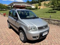 Usata Fiat Panda 4x4 Climbing 60 CV (44 kW) 2005 Grigio Utilitaria