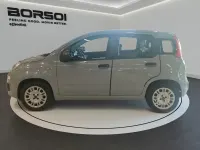 Usata Fiat Panda Easy 69 CV (50 kW) 2017 Grigio finanza Utilitaria