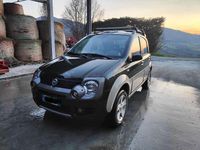 Usata Fiat Panda 4x4 Cross 95 CV (69 kW) 2006 Verde Utilitaria