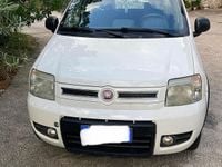 Begagnad Fiat Panda 4x4 69 HK (50 kW) 2011 Vit Halvkombi