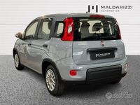 Usata Fiat Panda S 70 CV (51 kW) 2023 Grigio Utilitaria
