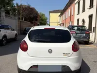 Usata Fiat Bravo 120 CV (88 kW) 2011 Bianco Utilitaria