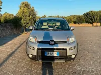 Usata Fiat Panda 4x4 S 75 CV (55 kW) 2013 Grigio Utilitaria