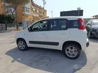 Usata Fiat Panda 4x4 Easy 80 CV (58 kW) 2016 Bianco Utilitaria