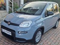 Usata Fiat Panda Easy 69 CV (50 kW) 2022 Grigio Utilitaria