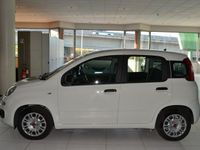 usata Fiat Panda 1.0 - 1.0 70cv hybrid