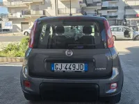 Usata Fiat Panda City Life 70 CV (51 kW) 2022 Grigio Utilitaria