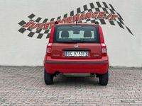 Usata Fiat Panda Dynamic 60 CV (44 kW) 2007 Rosso Utilitaria