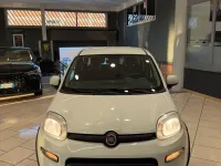 Usata Fiat Panda Easy 71 CV (52 kW) 2020 Bianco Utilitaria