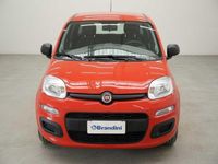 usata Fiat Panda 1.0 hybrid easy connect s&s 70cv