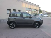 Usata Fiat Panda Cross Cross 86 CV (63 kW) 2021 Grigio scuro Utilitaria