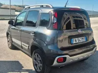 Usata Fiat Panda Cross Cross 95 CV (69 kW) 2018 Grigio Utilitaria