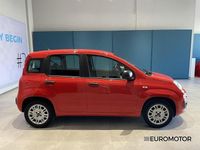 Usata Fiat Panda Easy 69 CV (50 kW) 2019 Bianco Utilitaria