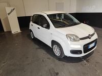 Usata Fiat Panda Easy 69 CV (50 kW) 2019 Bianco Utilitaria