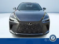 Nuova Lexus RX450h Executive Line 309 CV (227 kW) 2025 Grigio SUV