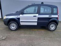 usata Fiat Panda 4x4 1.2 Climbing usato