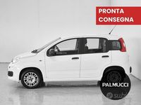 Usata Fiat Panda Easy 69 CV (50 kW) 2017 Other Utilitaria