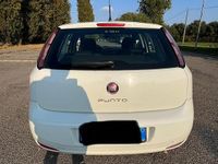 Usata Fiat Punto 2013 Bianco Berlina