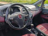 Usata Fiat Punto Evo 2011 Bianco Utilitaria