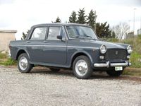 usata Fiat Panda 1100 1100 D 1965