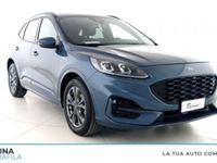 usata Ford Kuga 2.0 EcoBlue Hybrid 150 CV 2WD ST-Line X