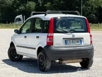 Usata Fiat Panda 4x4 60 CV (44 kW) 2005 Bianco Utilitaria