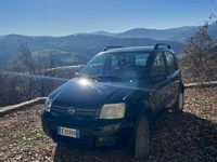 Usata Fiat Panda 4x4 Climbing 60 CV (44 kW) 2006 Utilitaria