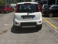 Usata Fiat Panda 4x4 86 CV (63 kW) 2020 Other Utilitaria