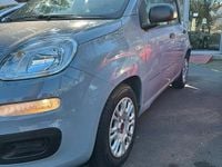 Usata Fiat Panda S 2022 Grigio Utilitaria