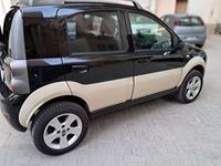 usata Fiat Panda 4x4 1.3 mjt 16v