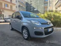 Usata Fiat Panda Easy 69 CV (50 kW) 2019 Grigio Utilitaria