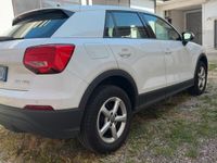Usata Audi Q2 Business 116 CV (85 kW) 2019 Bianco SUV