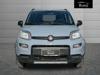 Usata Fiat Panda 4x4 S 86 CV (63 kW) 2019 Grigio Utilitaria