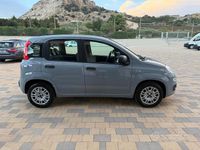 Usata Fiat Panda Easy 69 CV (50 kW) 2018 Grigio Utilitaria
