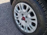 Usata Fiat Panda Easy 69 CV (50 kW) 2020 Grigio Utilitaria