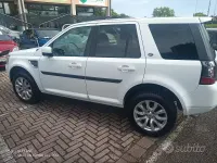 Usata Land Rover Freelander 2 190 CV (139 kW) 2013 Bianco SUV
