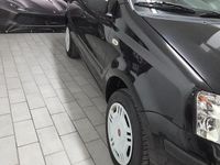 Usata Fiat Panda Dynamic 59 CV (43 kW) 2008 Nero Utilitaria
